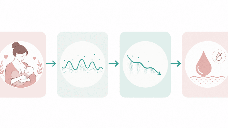 Illustration showing how breastfeeding causes postpartum vaginal dryness through prolactin and estrogen suppression